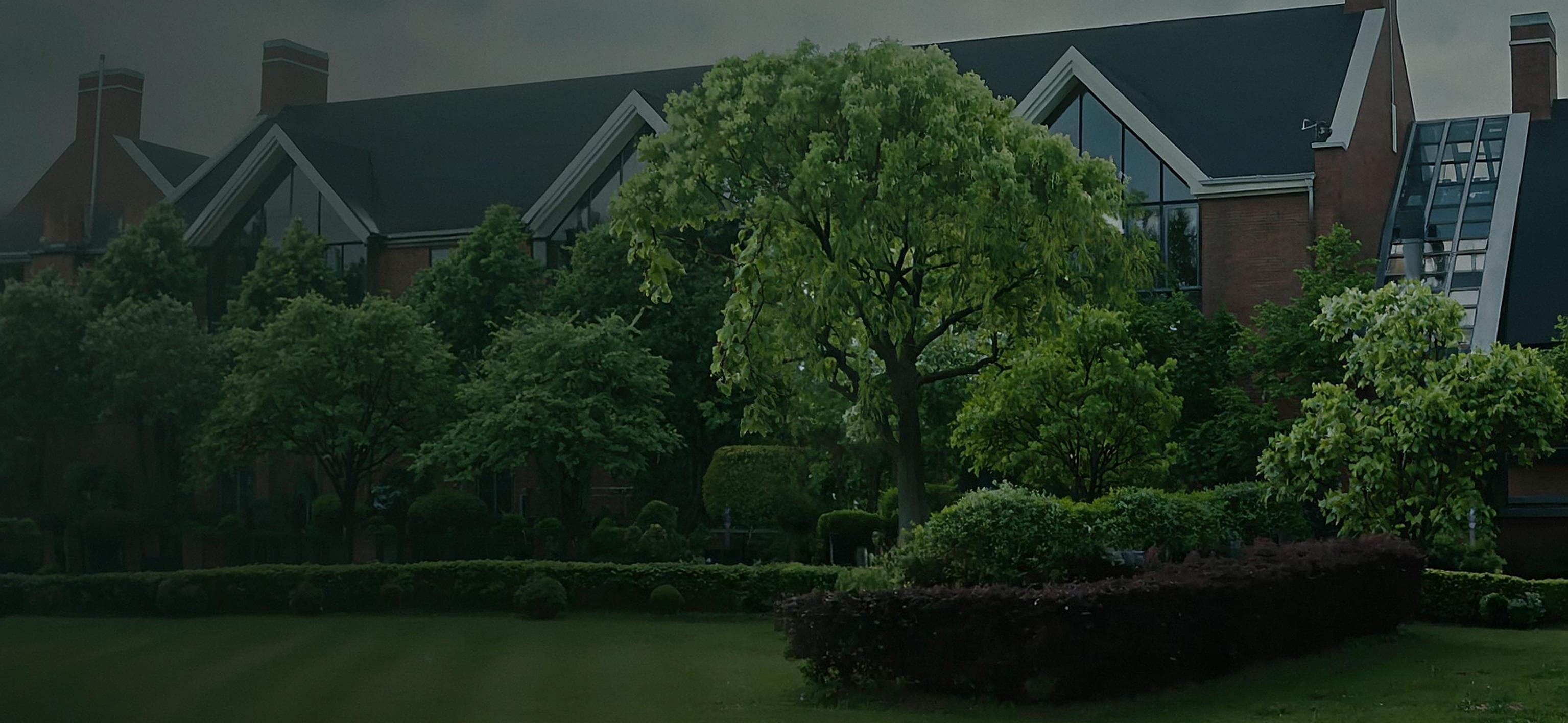 Tree background